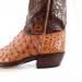 heel-1