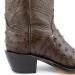 Heel view of women's custom dark chocolate full quill ostrich snip toe boots featuring a traditional cowboy heel